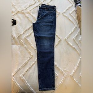 American Eagle Outfitters Dark Blue Skinny Jeans